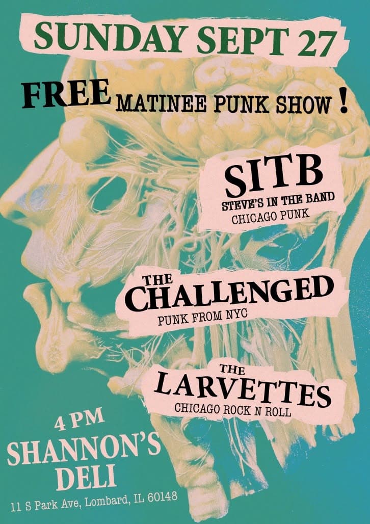 Flyer submitted via chicagopunkscene.com.