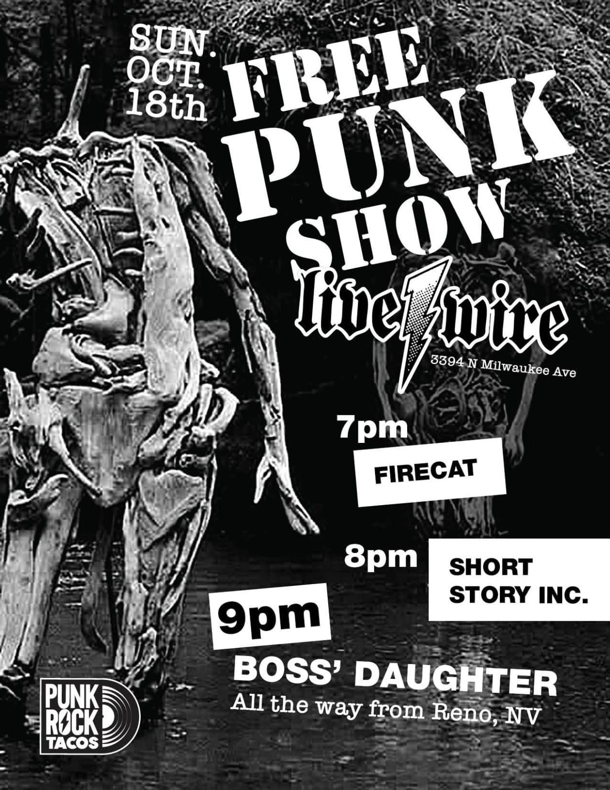 Flyer submitted via chicagopunkscene.com.